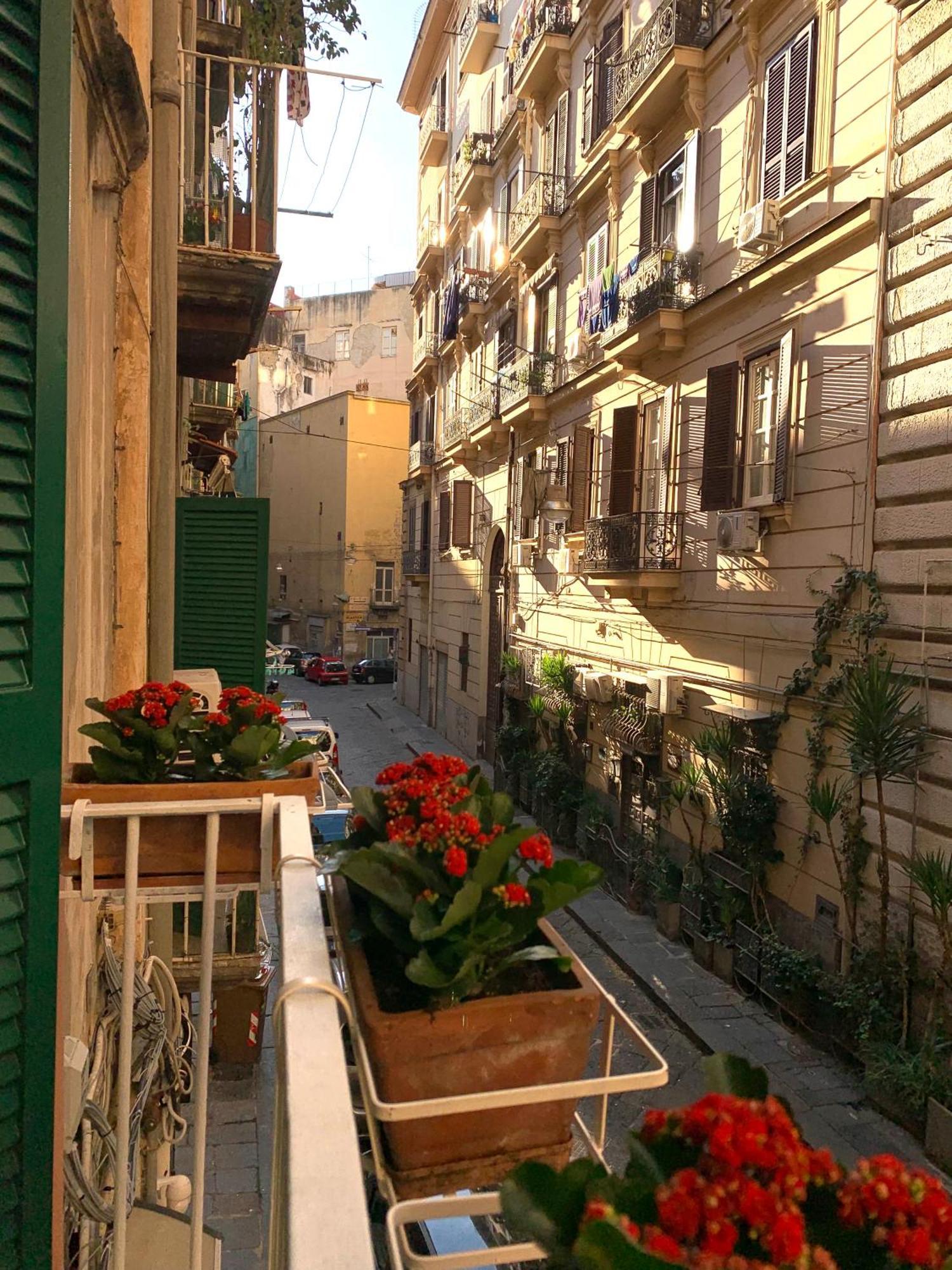 Appartamento Casa Giulia, Nuovo In Centro!